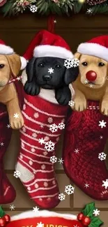 Three puppies in Christmas stockings with snowflakes.