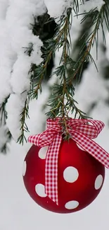 Red ornament with ribbon on snowy pine branch.