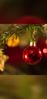 Festive red ornament hanging on a pine branch, perfect for holiday wallpaper.