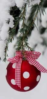 Red ornament with polka dots hanging on a snow-laden pine branch.