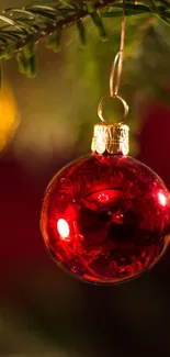 Vibrant red Christmas ornament on tree