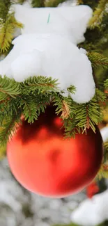 Red ornament hanging in snowy pine branches, perfect for festive decoration.