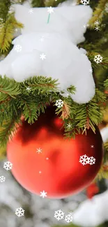 Red Christmas ornament on snow-covered pine branch.