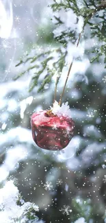 Red ornament among snowy green branches with falling snowflakes.