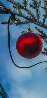 Festive red ornament hanging from a tree against a blue sky.