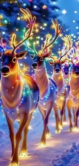 Festive reindeer adorned with colorful Christmas lights.