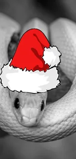 Yellow snake on screen with Santa hat.