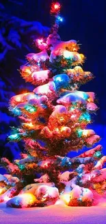 Snow-covered Christmas tree illuminated with colorful lights.