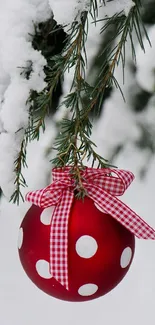 Red and white polka dot ornament on snowy evergreen branches.