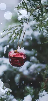 Red ornament with snow on evergreen branches, perfect for winter wallpaper.