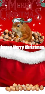 A festive Christmas wallpaper with a squirrel in Santa hat on a red background.