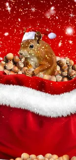 Squirrel in Santa hat with nuts on a festive red background.