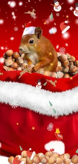 Squirrel in festive bag surrounded by Christmas decorations.