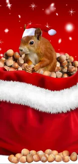 Festive squirrel in a Santa-style red bag with nuts on a red background.