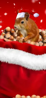 Squirrel in Santa hat in a red sack with acorns and stars.