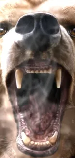 Close-up of a roaring bear, showcasing its fierce expression and wild nature.