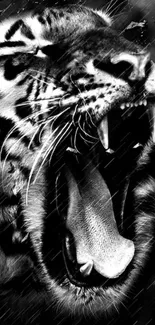 Black and white roaring tiger artwork wallpaper.