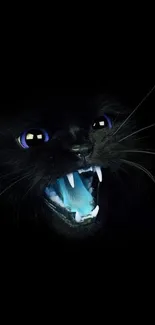 Fierce black cat with blue eyes on a dark background.