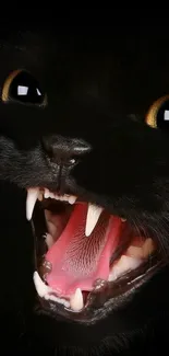 Fierce black cat with open mouth intense close-up.