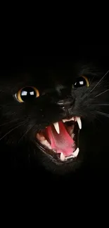 Close-up of a fierce black cat with an open mouth displaying sharp teeth.