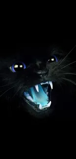 Fierce black cat with blue eyes on dark background.