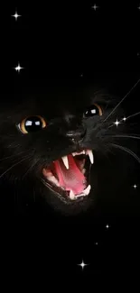 Fierce black cat with open mouth on a dark background wallpaper.