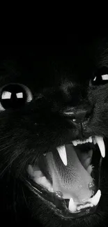 Fierce black cat with open mouth close-up, showing sharp teeth.