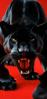 Ferocious black panther on a red background, ready to pounce.