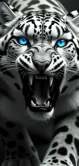 Fierce blue-eyed leopard roaring wallpaper.