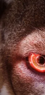 Close-up of a glowing cyberpunk animal eye design wallpaper.