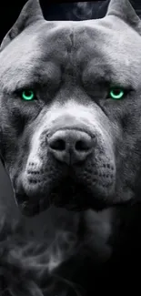 Fierce dog face with glowing green eyes on a dark background.