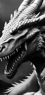 Grayscale dragon illustration mobile wallpaper showcasing fierce expression.