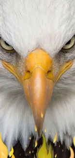 Detailed eagle face with piercing eyes and flames at the bottom.