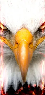 Fierce eagle with fiery accents close-up wallpaper for mobile.