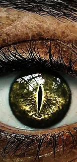 Close-up of a captivating reptilian eye with a golden iris.