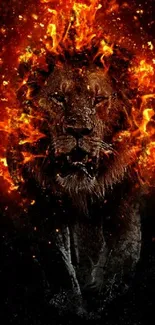 Fierce lion surrounded by vibrant flames on a dark background mobile wallpaper.