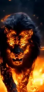 Fiery lion engulfed in flames on a dark backdrop.