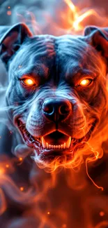 Fierce dog enveloped in bright flames.