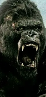 Fierce gorilla roaring in natural setting wallpaper.