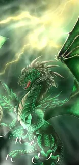 Green dragon with vibrant wings and stormy background.