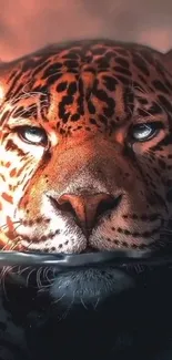 Fierce leopard art wallpaper with intense gaze.