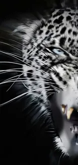 Fierce leopard face on dark background mobile wallpaper.