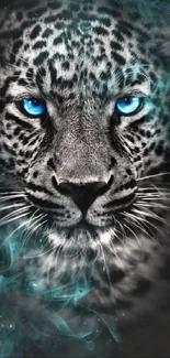 Black and white leopard with blue eyes and teal smoke background.