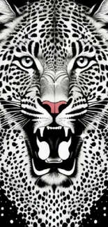 Fierce leopard face on black background wallpaper.