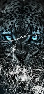 Fierce leopard with glowing blue eyes on a striking mobile wallpaper.