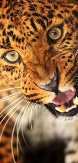 Close-up of a fierce leopard with striking orange and black fur.