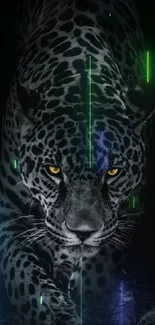 Fierce leopard with neon lighting in a dark theme background.