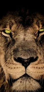 Close-up of a fierce lion with glowing green eyes in a dramatic mobile wallpaper.