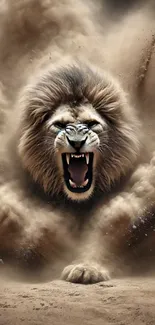 Roaring lion emerging from swirling duststorm.