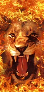 Fierce lion engulfed in fiery flames for mobile wallpaper.